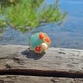 anello amazzonite cabochon e coralli di vario colore